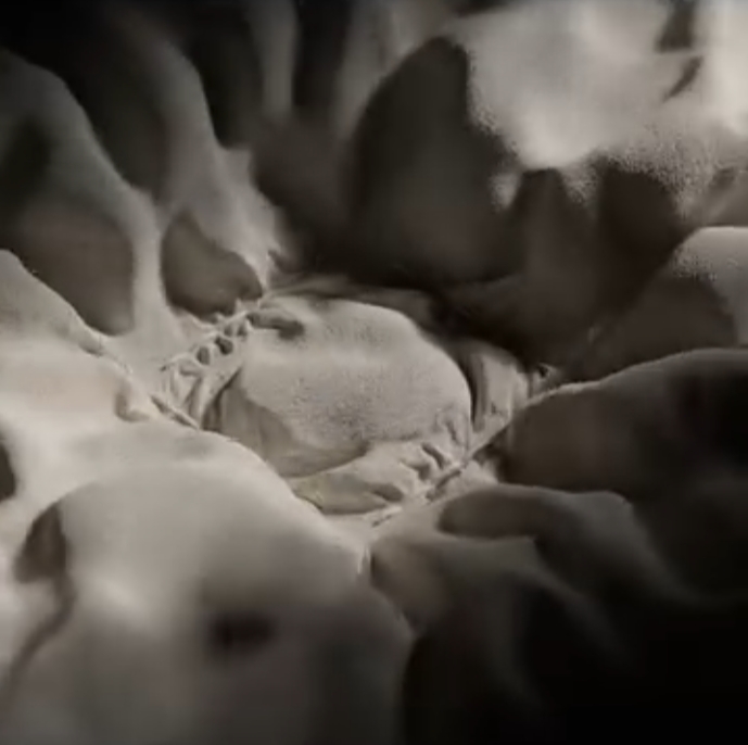 图片[3]-(AI中英文翻译) Max Schwugier会员频道_Houdini+C4D+Redshift (更新至2024年10月）-CGart