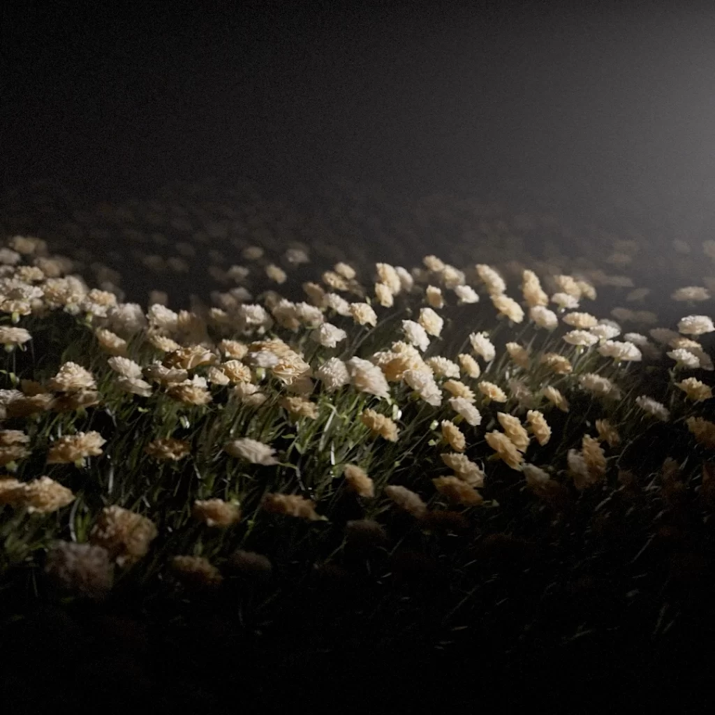 图片[35]-(GPT精准翻译)丨MotionPunk会员频道_C4D动态设计Octane+X-Particles+Houdini(已更到26年4月最新）-CGart