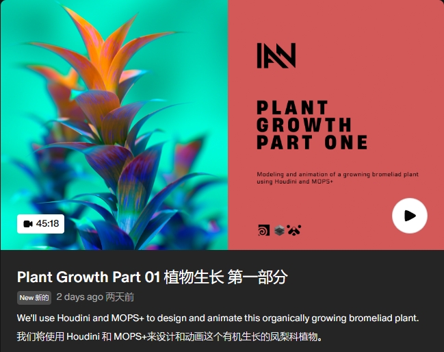 图片[5]-[半年更](GPT4 精翻) Houdini Ian Frederick 会员频道 (更新至2024年10月)-CGart