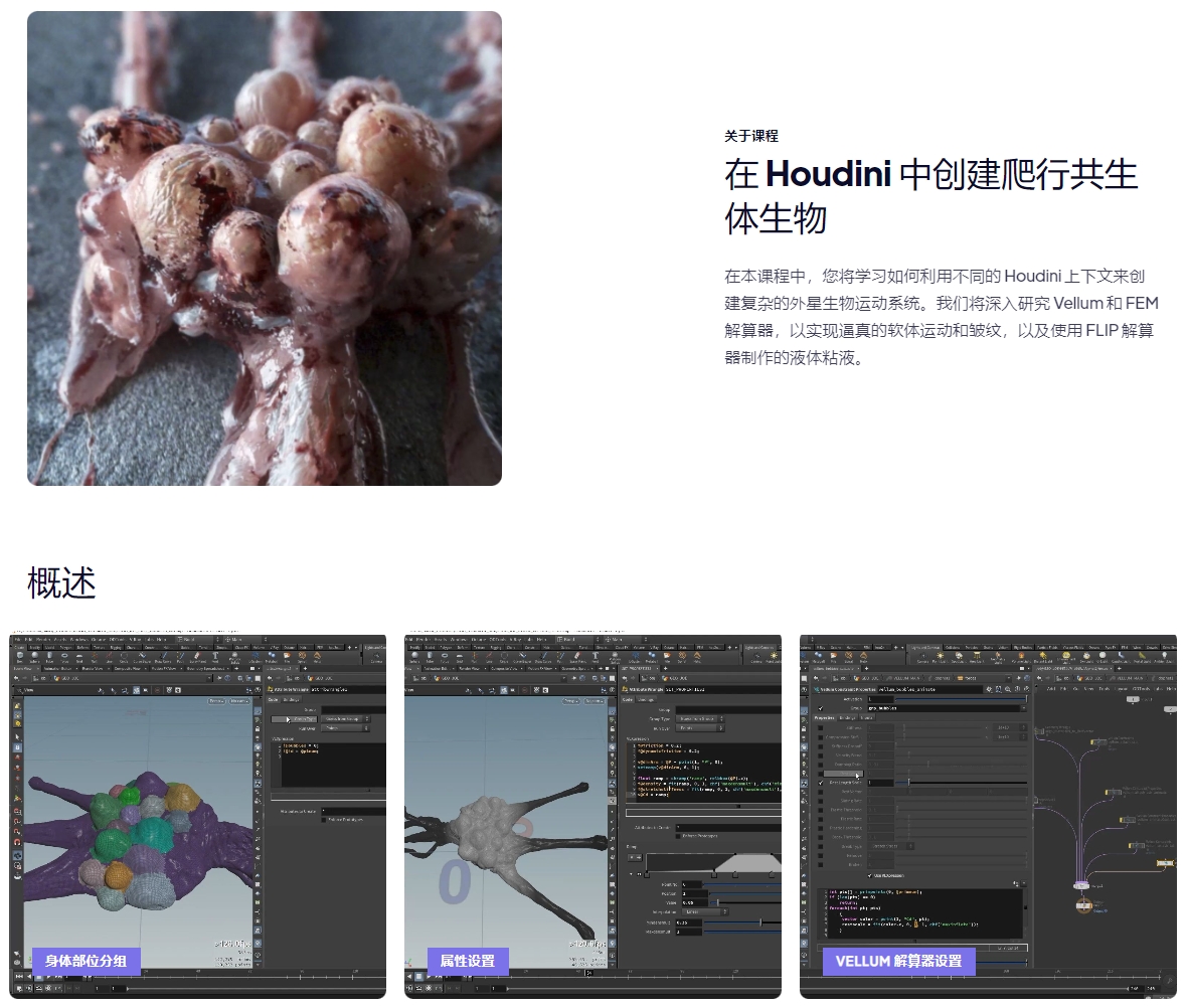 图片[2]-(GPT4 翻译) Houdini 中创建外星爬行共生体生物-CGart