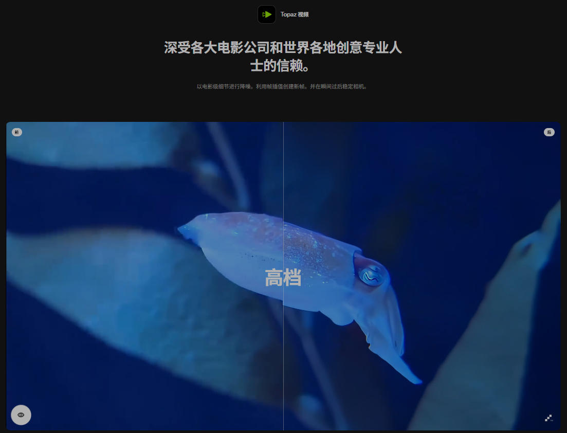 图片[2]-Topaz Video Pro 1.6.1(星光)-4K-8K视频增强放大-CGart